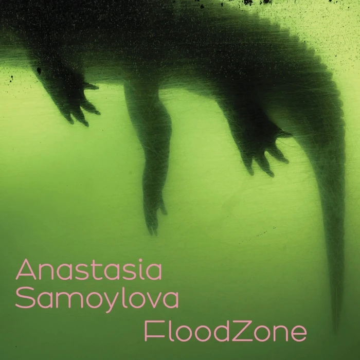 Anastasia Samoylova: FloodZone