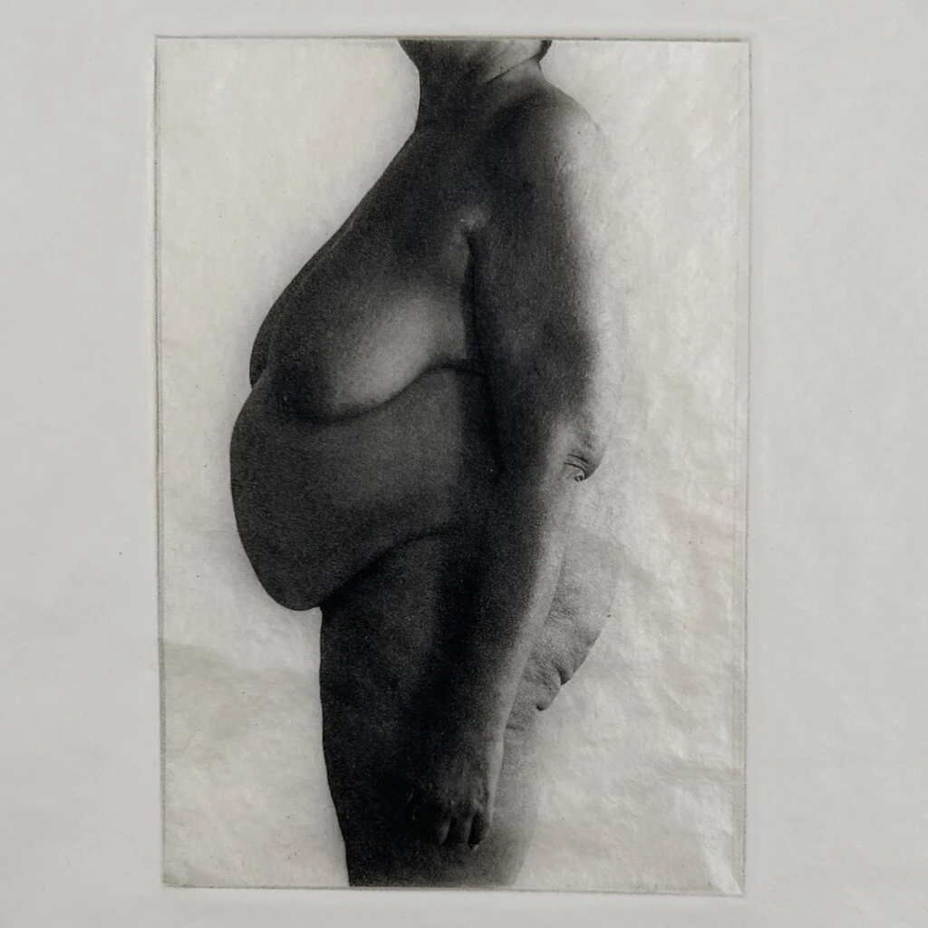 Nancy Hellebrand: EVERYBODYBEAUTIFUL
