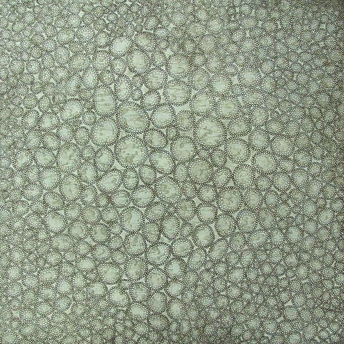 The Philadelphia Etchings: Janet Towbin